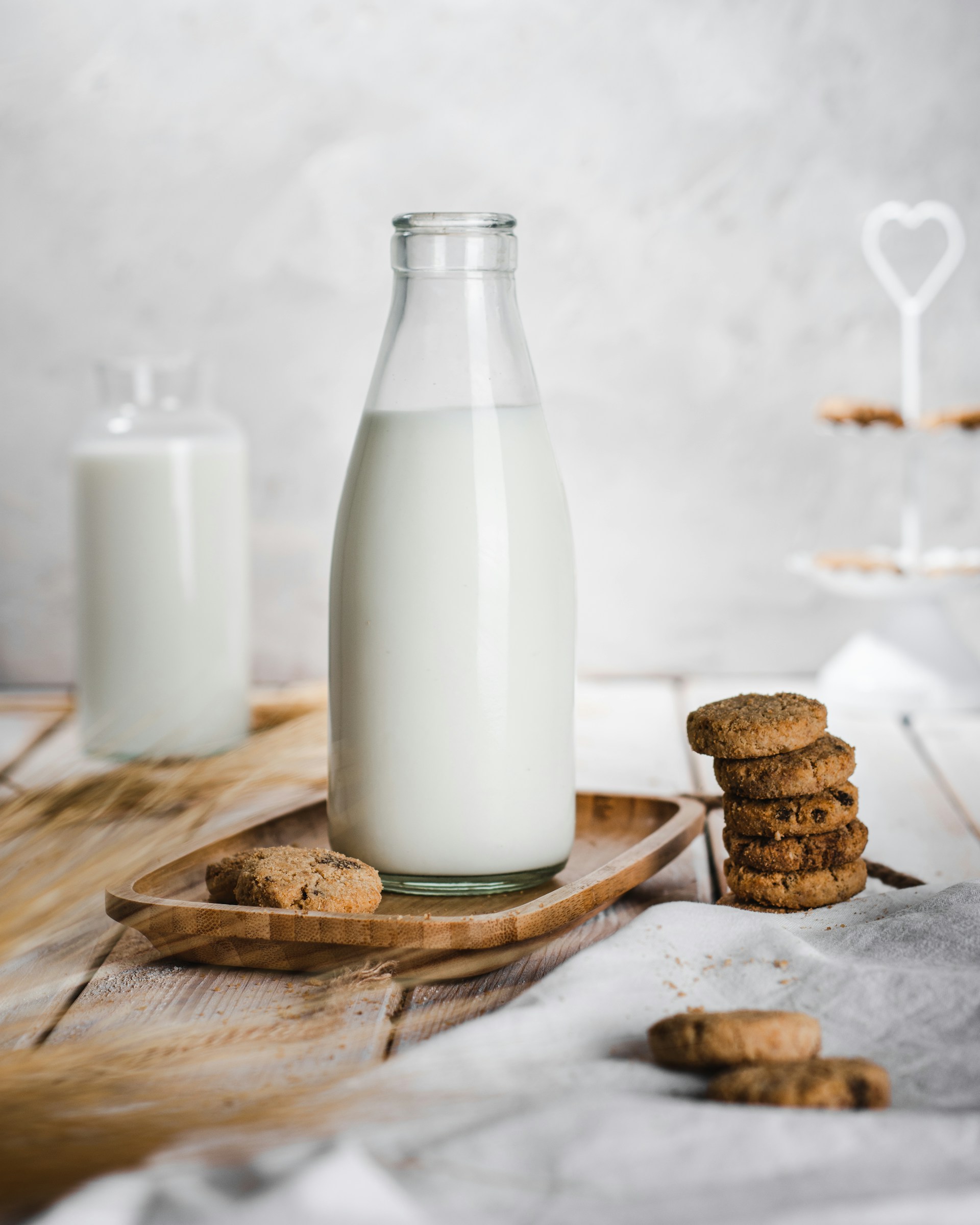 Can you compost dairy?