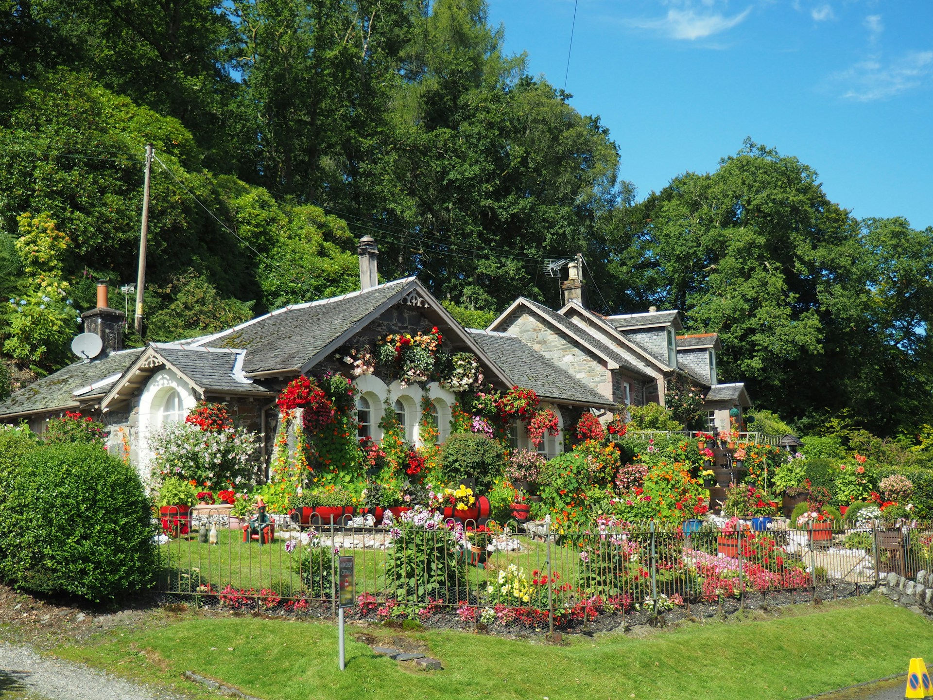 How to plant a garden gardening tips